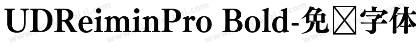 UDReiminPro Bold字体转换